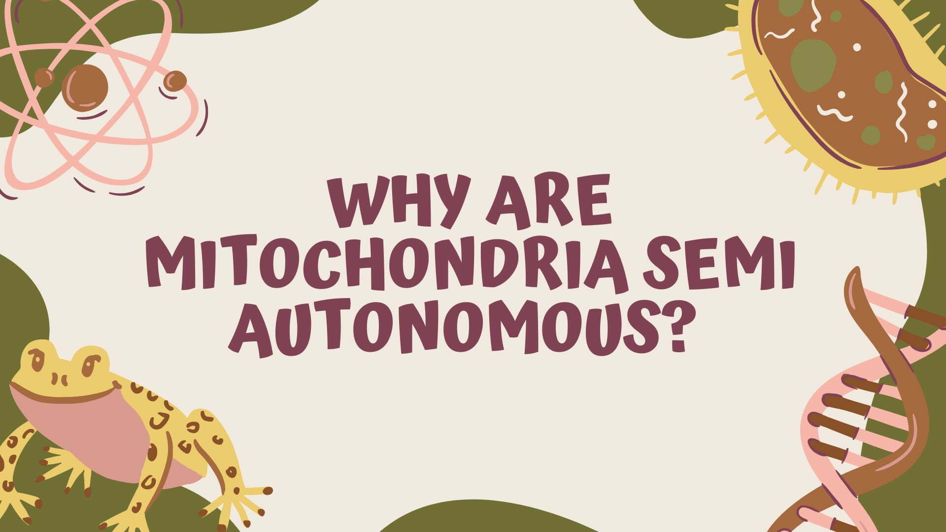 Semi-Autonomous Nature Of Mitochondria.