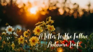 A Letter To The Fallen Autumn Leaf